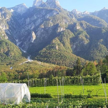 B&B La Casa In Campagna Ospedaletto  Buitenkant foto