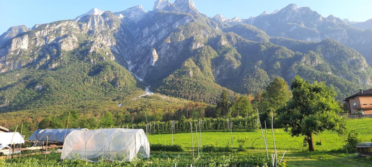 B&B La Casa In Campagna Ospedaletto  Buitenkant foto